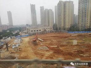 武汉江夏最新爆料,揭秘武汉江夏区最新动态与热点事件 第2张 武汉江夏最新爆料,揭秘武汉江夏区最新动态与热点事件 第2张